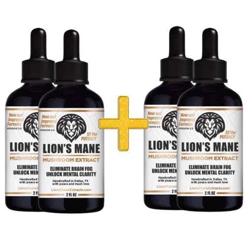 Fathers Day Mushroom Extract Bundle
