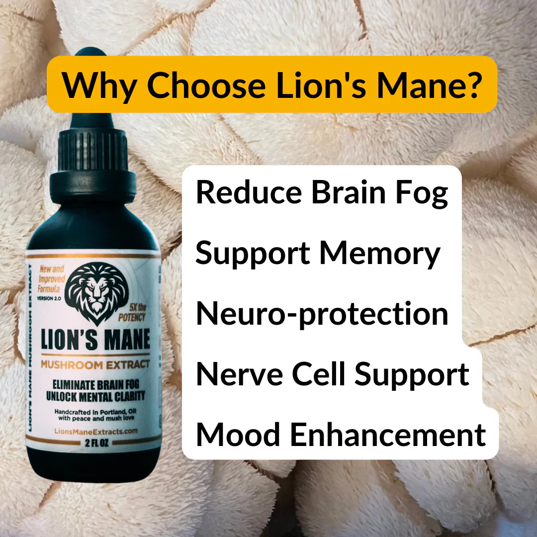 50% Off The Most Potent Lion’s Mane Extracts on the Market