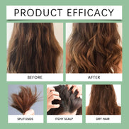 Organic Batana Oil Shampoo Soothing Scalp Intense Repair Batana Nourishing Shampoo with Rosemary Extract for All Hair Types